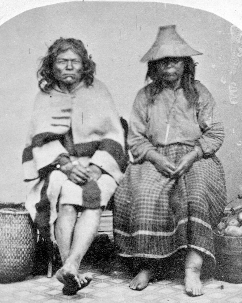 Coast Salish, Haida, Carrier Sekani, and Sto:lo, who harvested the red cedar, and abundant salmon.
