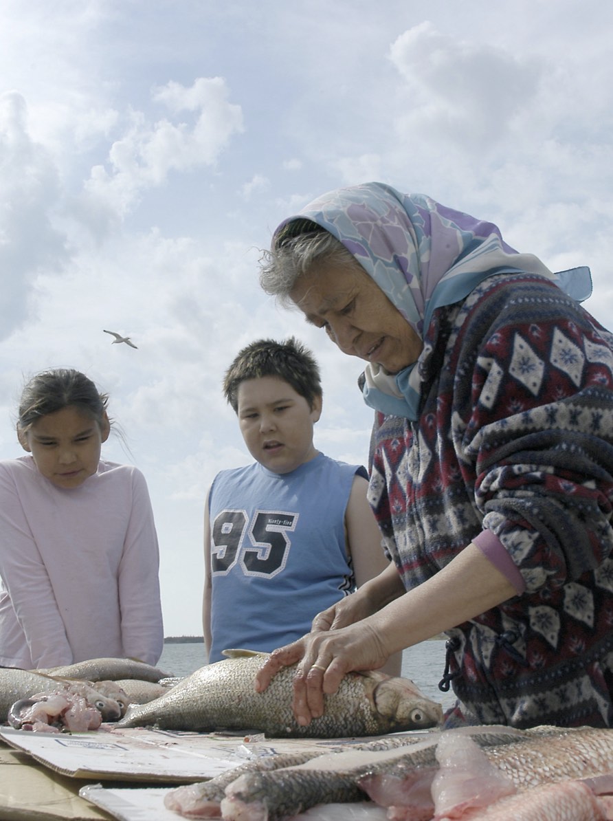 Including the perspectives of parents, communities, and Elders, helps to create more integrated support for learners.