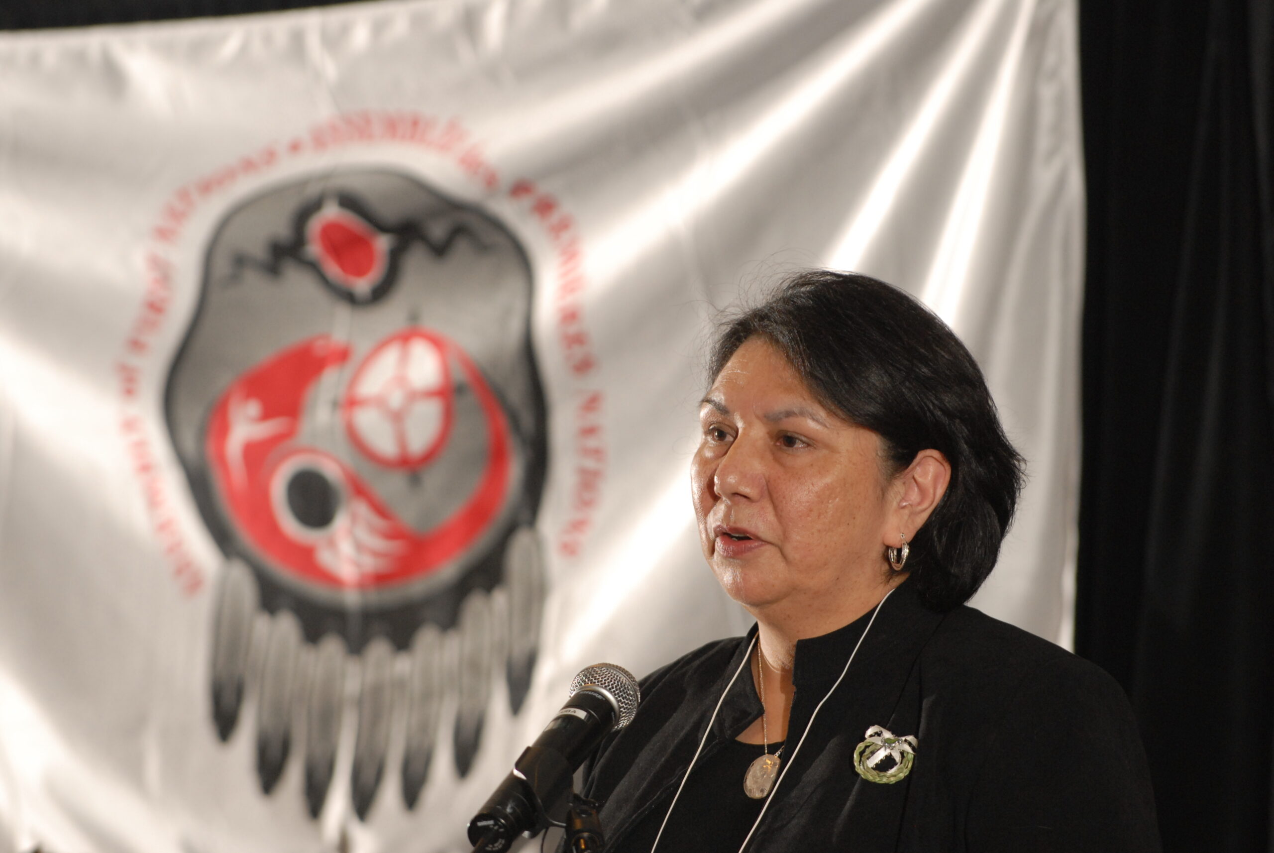 Increasingly, First Nations researchers and knowledge keepers are being approached by various sectors to share information and help inform policy and practice.