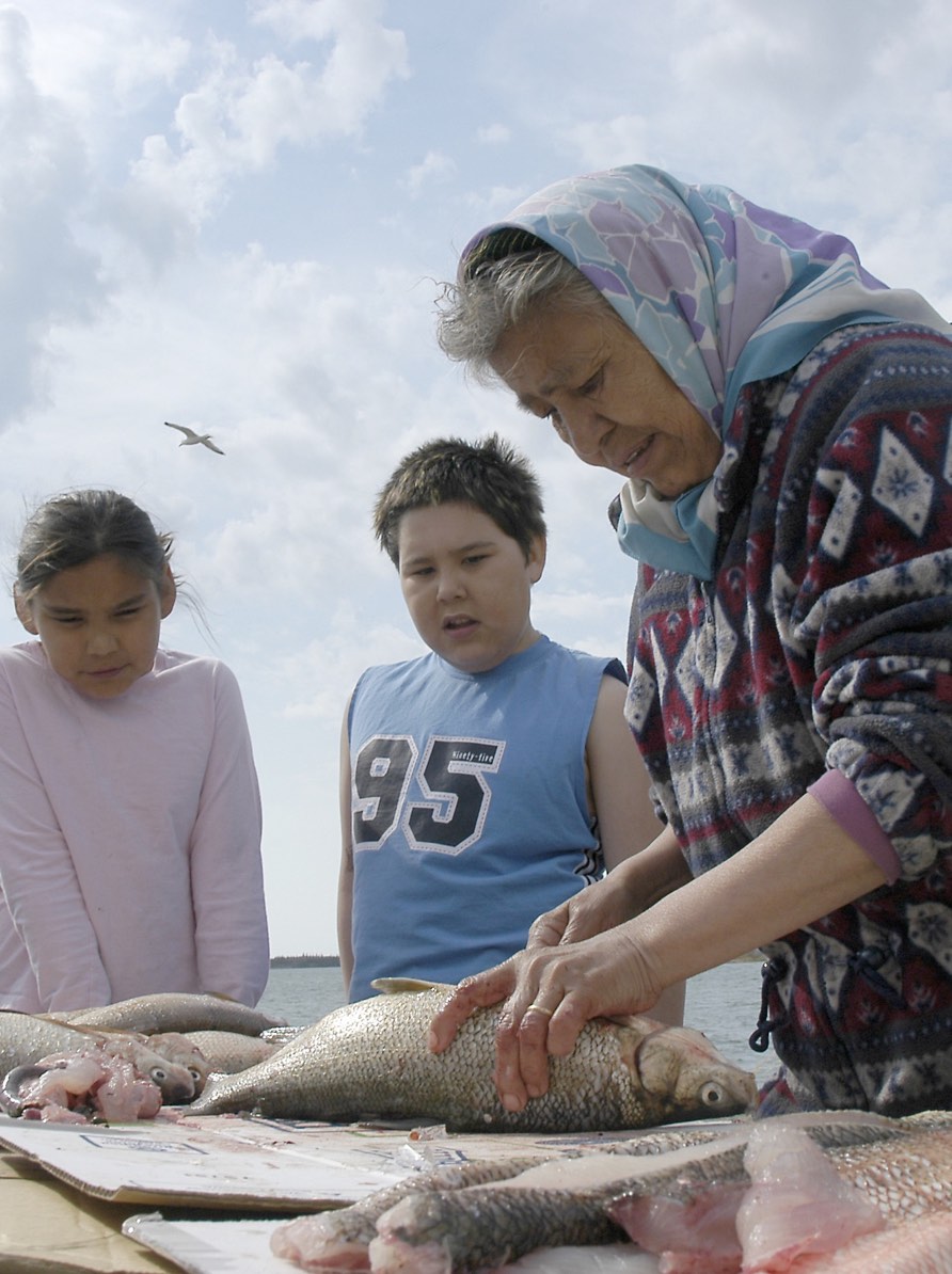 An Indigenous perspective on learning supports every First Nation child to demonstrate their learning strengths and provides them the opportunity to maximize their full learning potential.