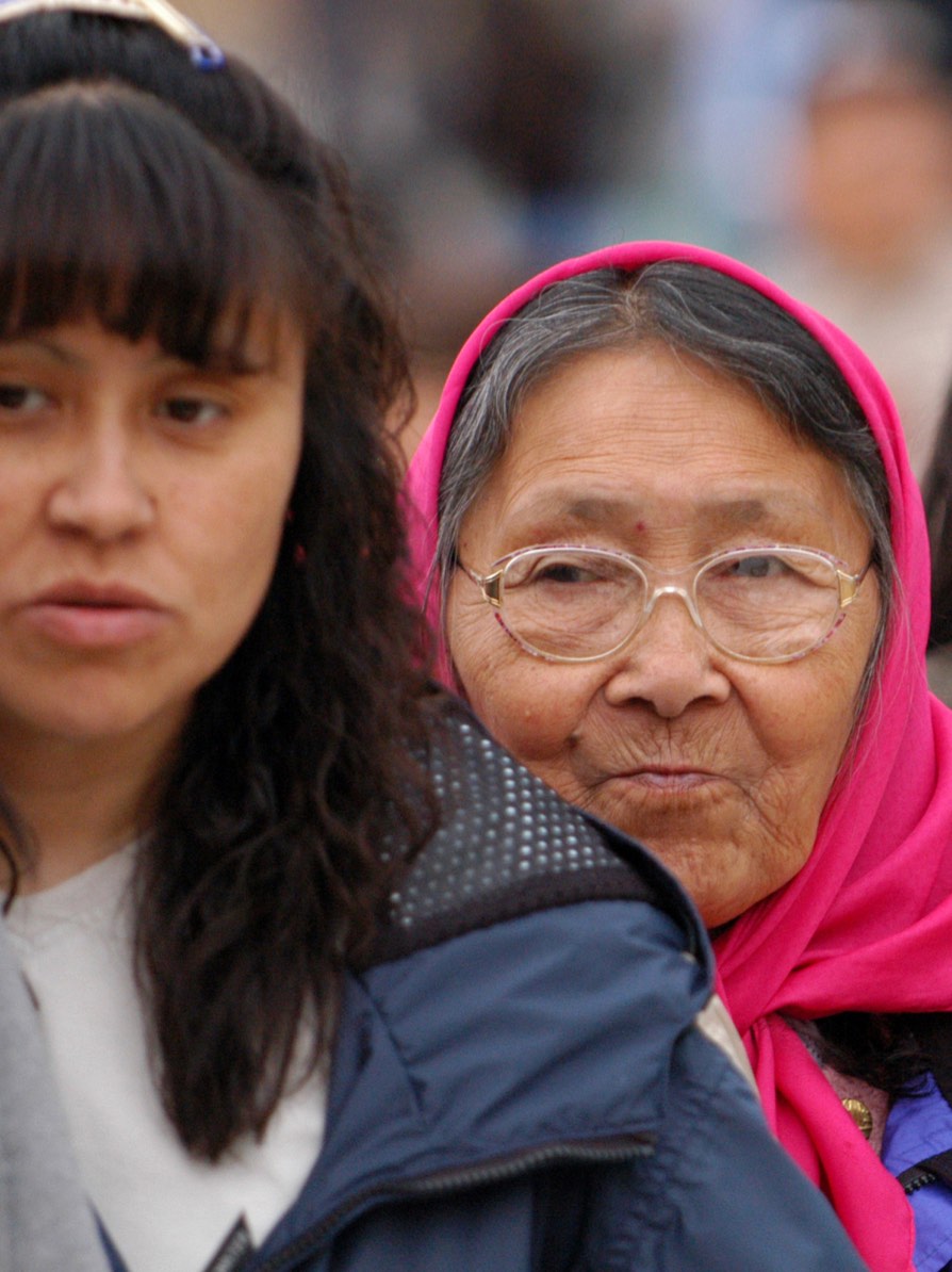 Implicit in the intergenerational learning process is the understanding that each new generation is responsible to ensure the survival of the seventh generation. This understanding is depicted by the seven rings contained in the First Nations Holistic Lifelong Learning Model.